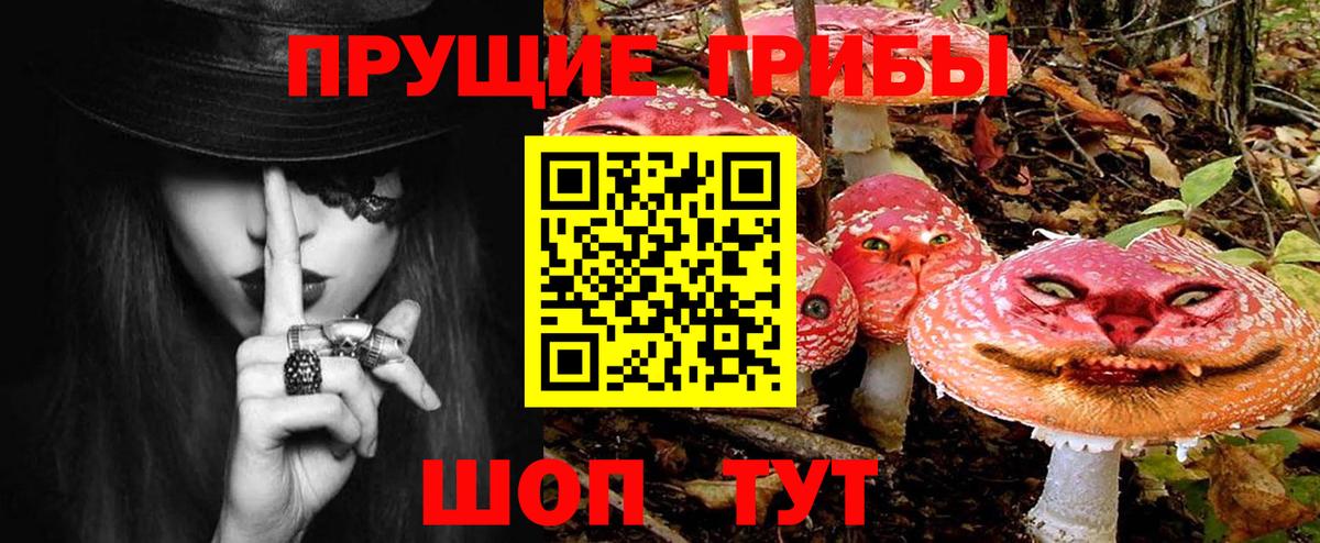 Губаха  Галлюциногенные грибы Cubensis  Галлюциногенные грибы Cubensis  Вход с VPN 
